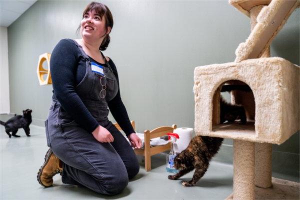 student kneels on floor to play with cat coming out of a cat tree inside a shelter room