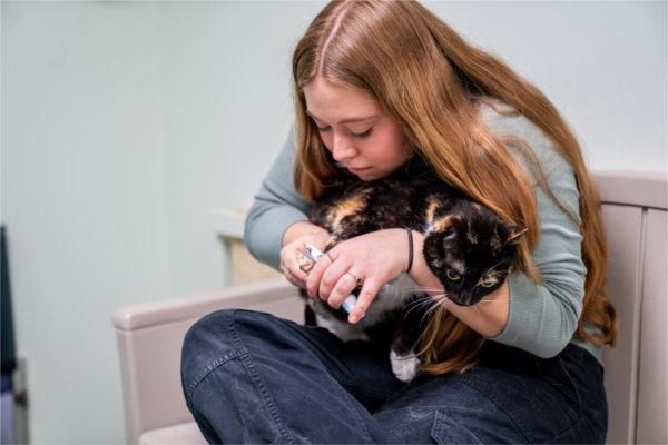 Lily Clark, president of Alternative Breaks, trims the nails on a cat. Clark was a student site leader for the trip to the animal shelter.