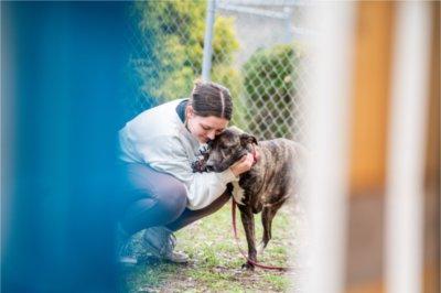 student hugs a dog outside in a pen at an animal shelter